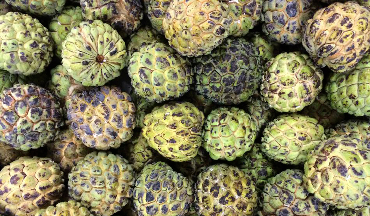Sugar apples